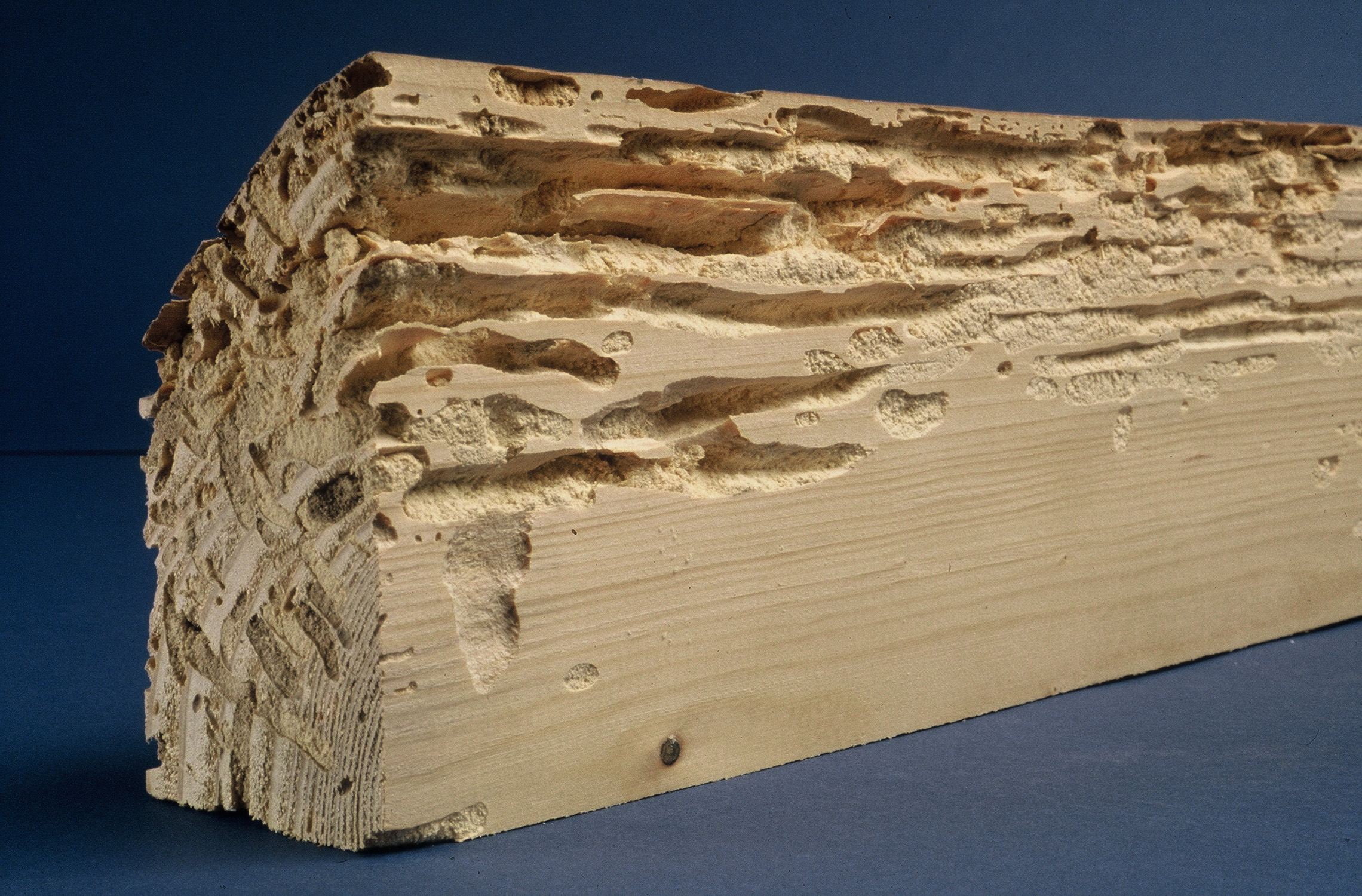 Traitement de charpente, bois à Rouen